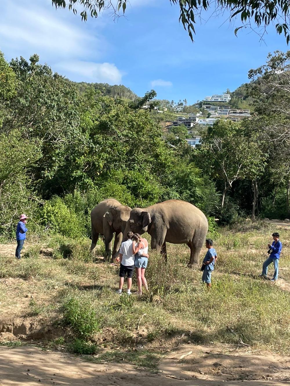 Shawn and Kate embracing in front of two elephants at a sanctuary in Koh Samui.
